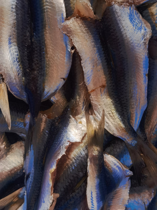 GABRIELE PARISI – "Texture di sarde"