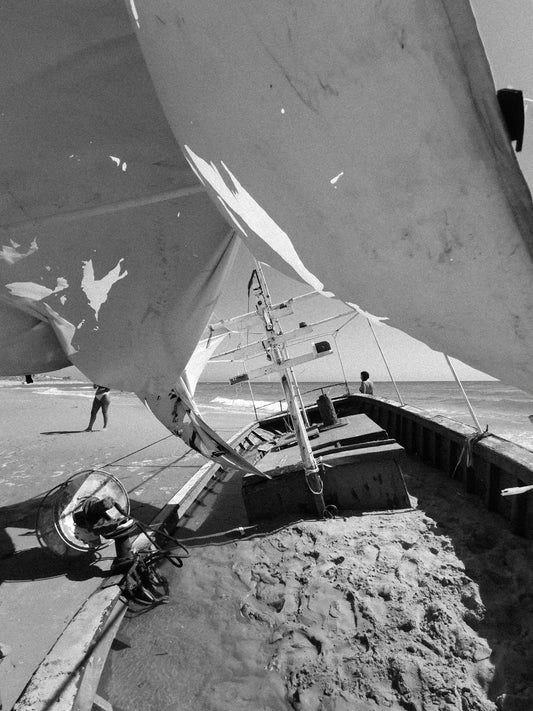 GABRIELE PARISI – "Vele"