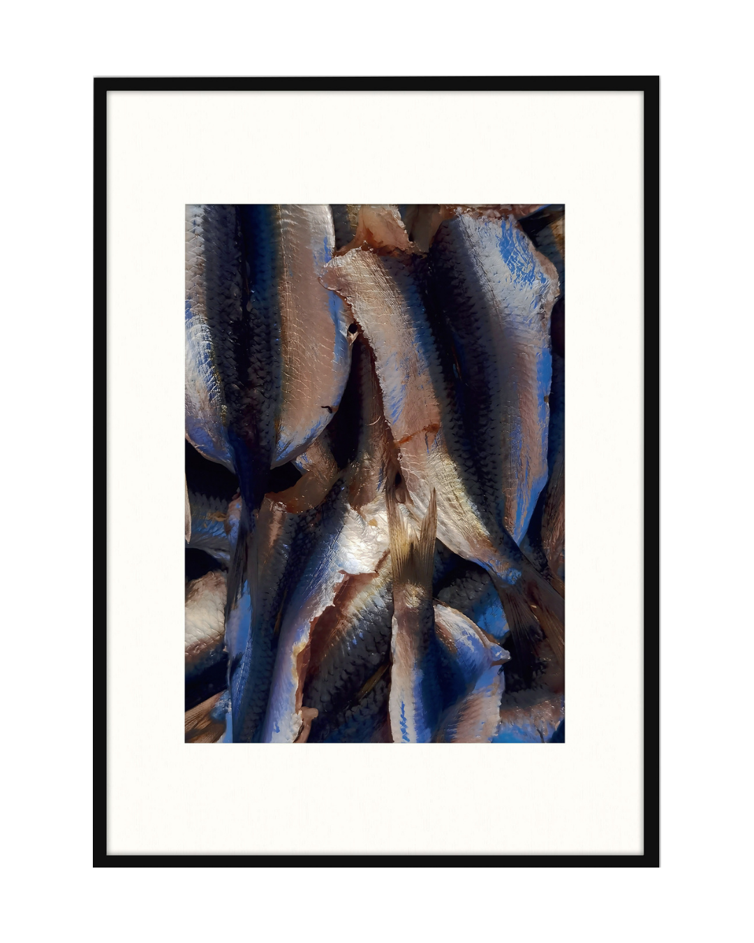 GABRIELE PARISI – "Texture di sarde"