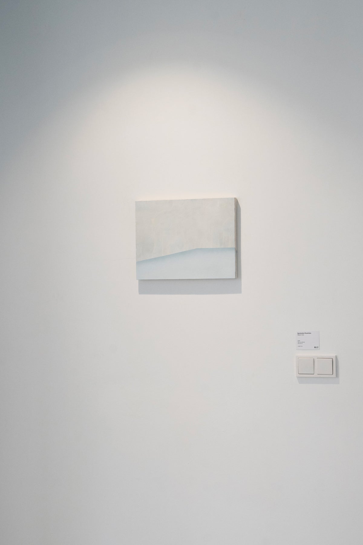AGNIESZKA ROWIŃSKA – "The rhizome remains"