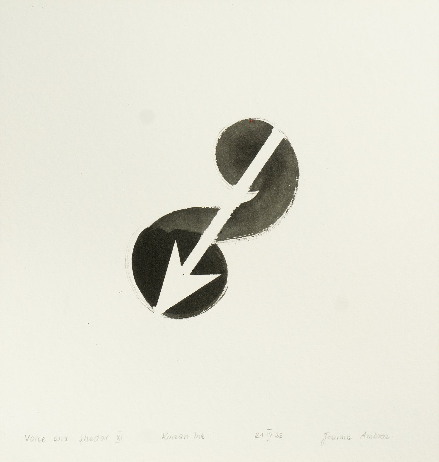 JOANNA AMBROZ – "Voice and shadow XI"