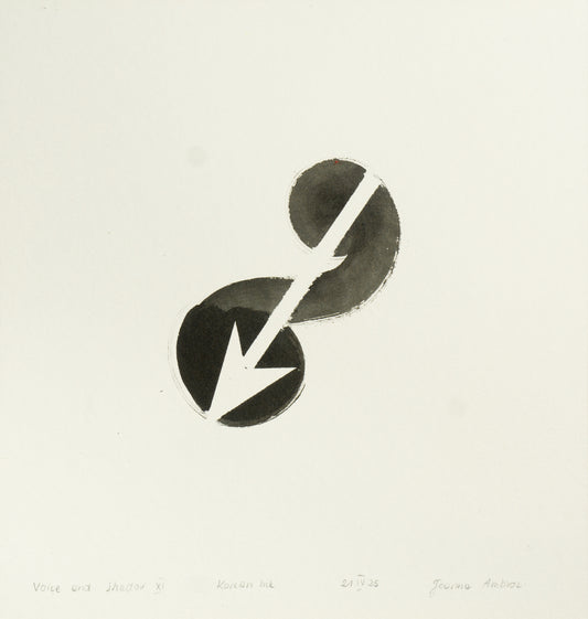 JOANNA AMBROZ – "Voice and shadow XI"