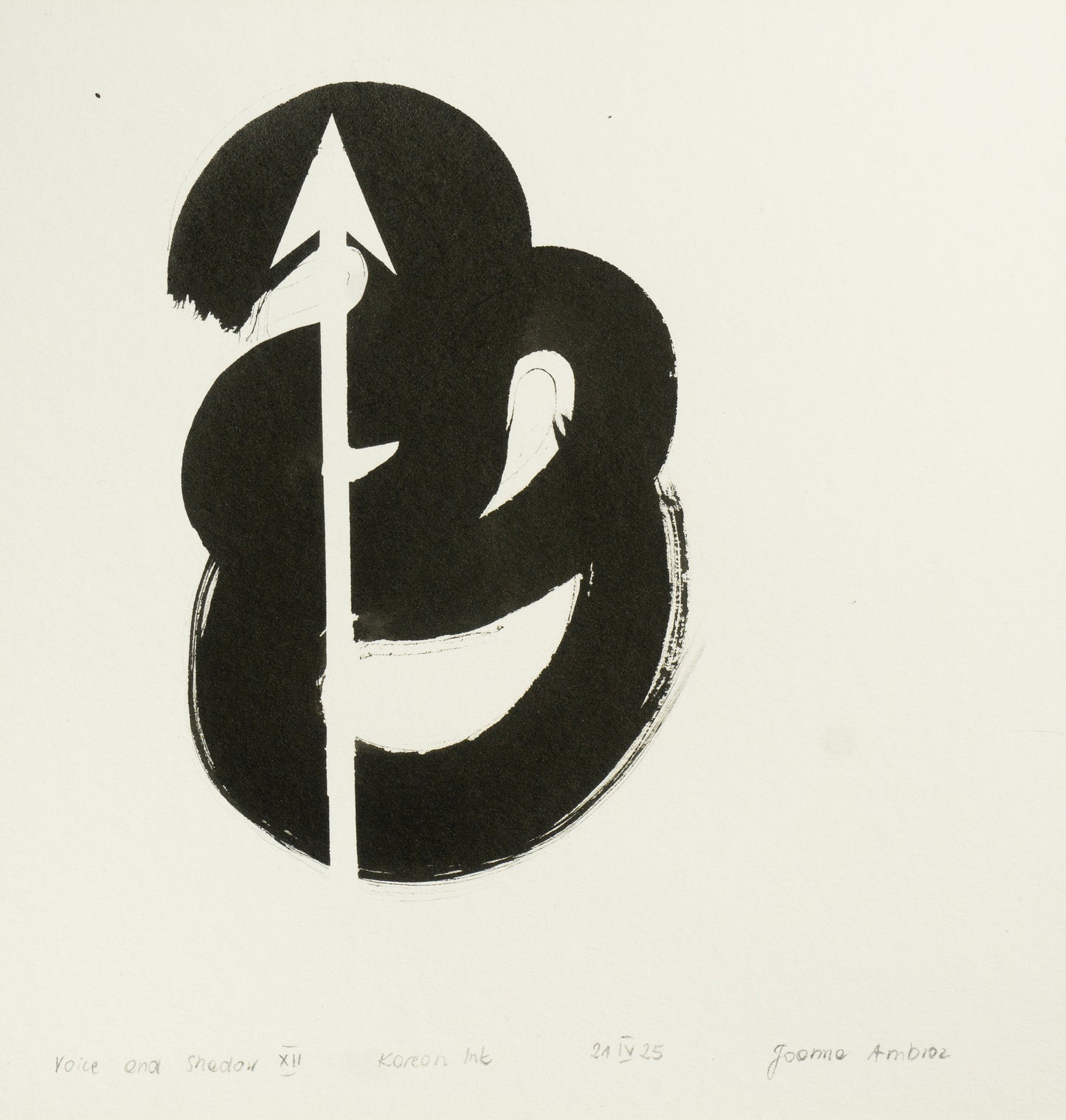 JOANNA AMBROZ – "Voice and shadow XII"