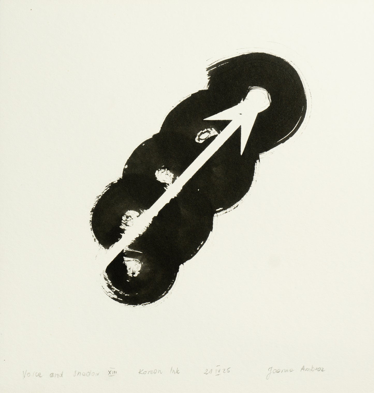 JOANNA AMBROZ – "Voice and shadow XIII"