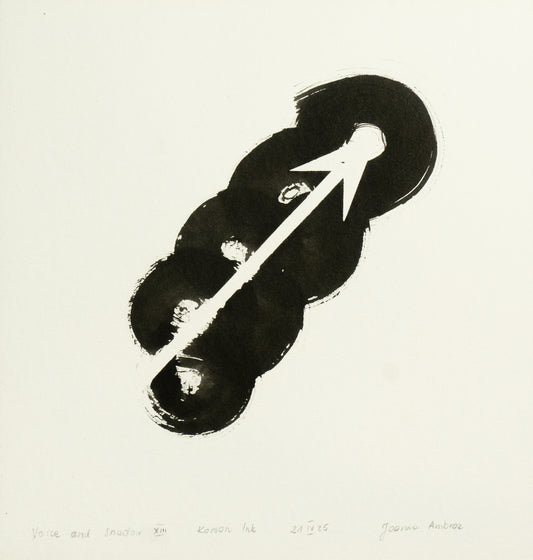 JOANNA AMBROZ – "Voice and shadow XIII"