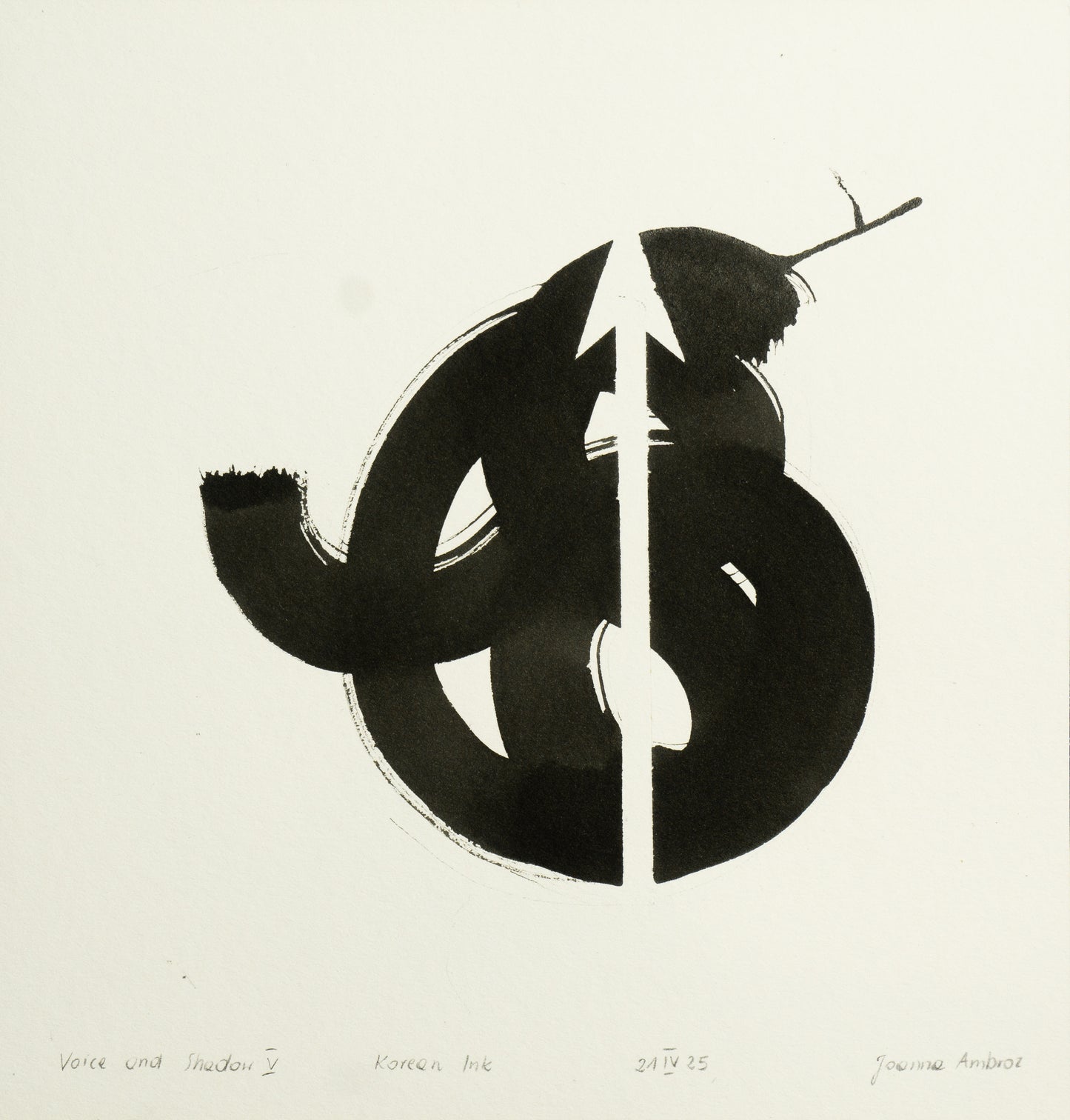 JOANNA AMBROZ – "Voice and shadow V"