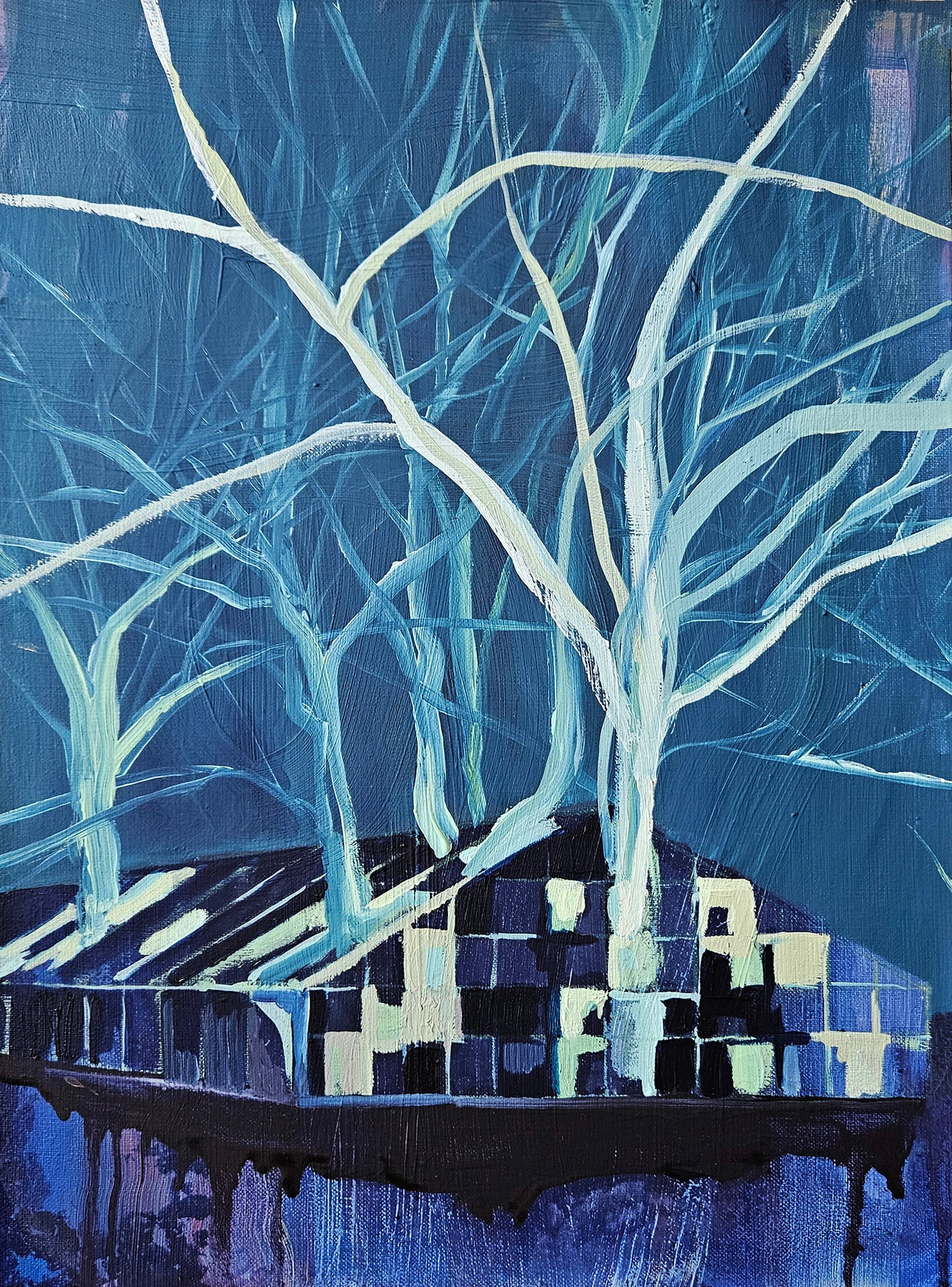 MONIKA STOLARSKA – "Szklarnia noc"