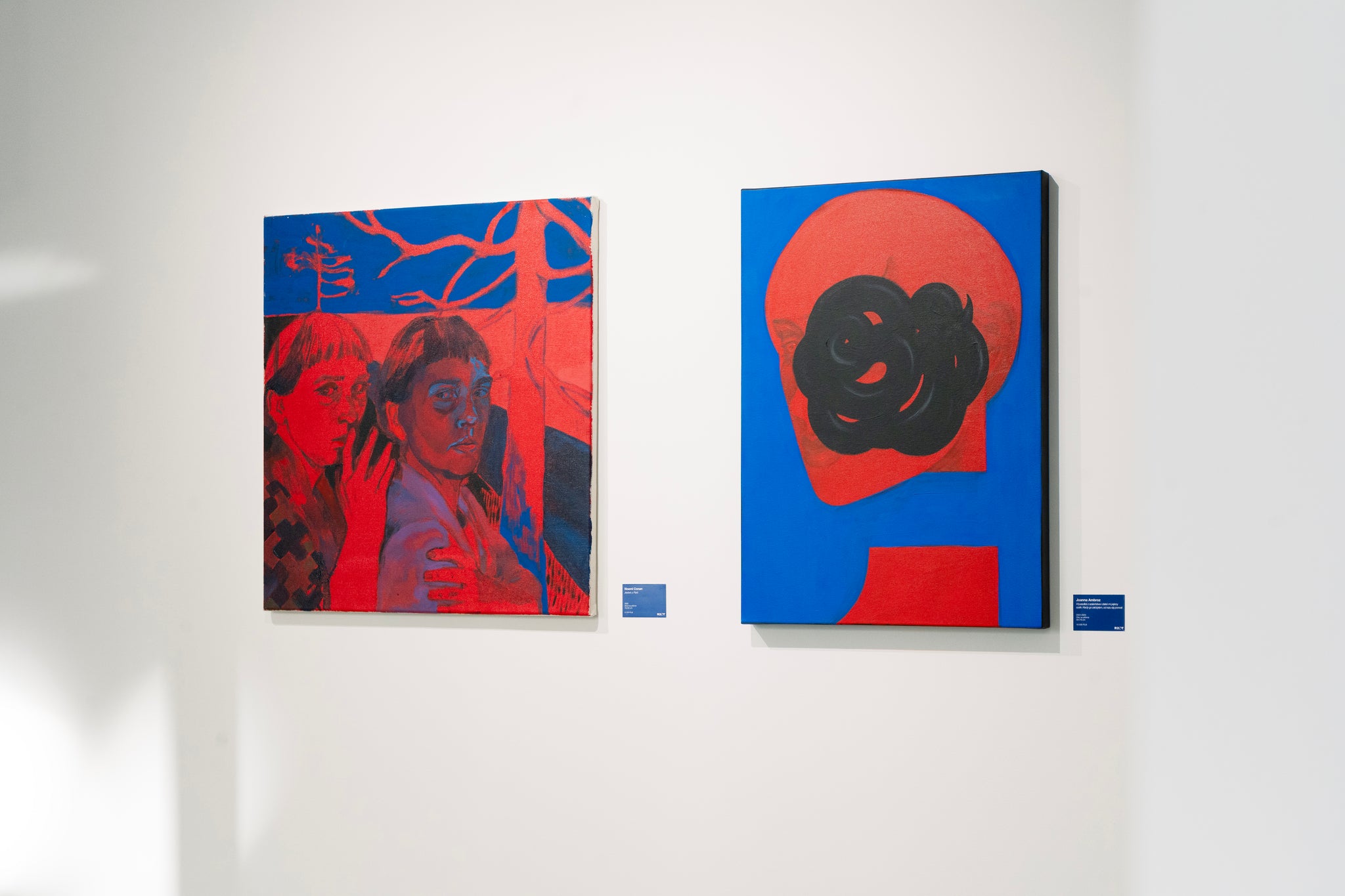 JOANNA AMBROZ – 