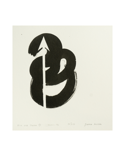 JOANNA AMBROZ – "Voice and shadow XII"