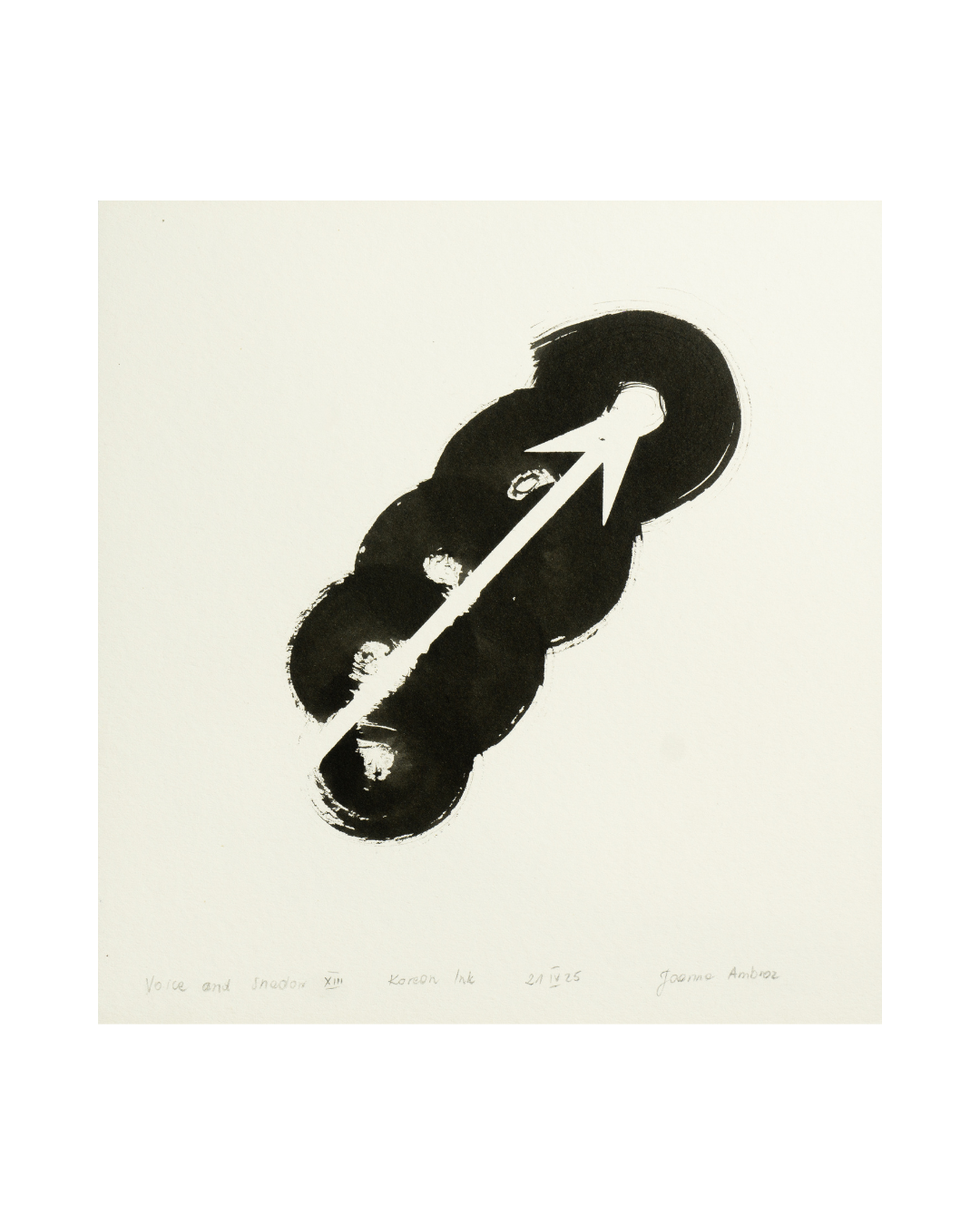 JOANNA AMBROZ – "Voice and shadow XIII"