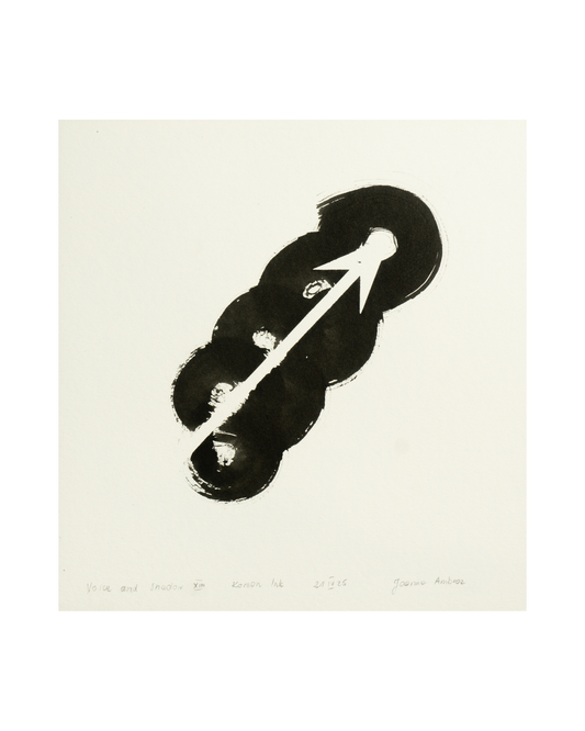 JOANNA AMBROZ – "Voice and shadow XIII"