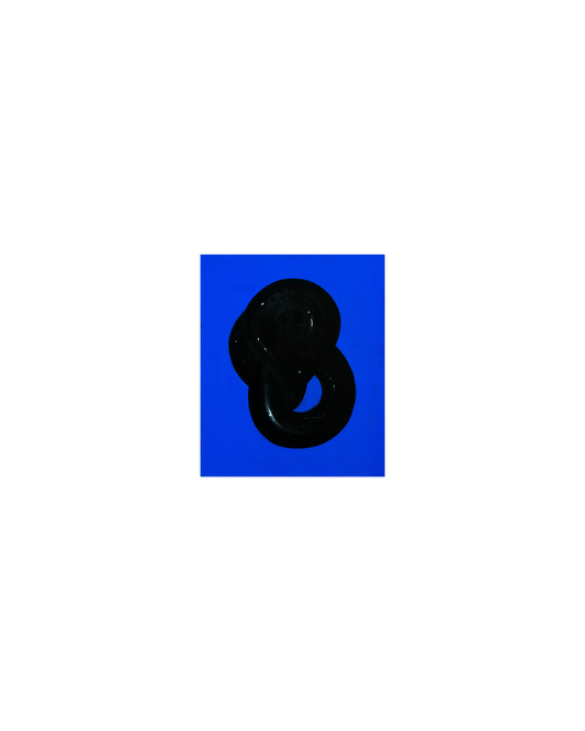 JOANNA AMBROZ – "Jung's Shadow II"