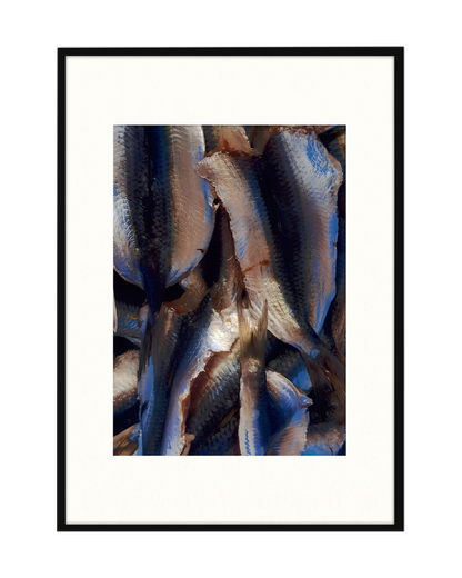 GABRIELE PARISI – "Texture di sarde"