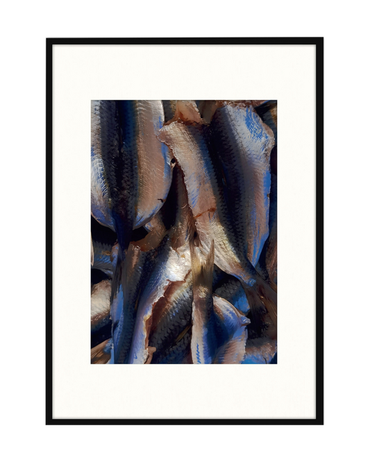 GABRIELE PARISI – "Texture di sarde"
