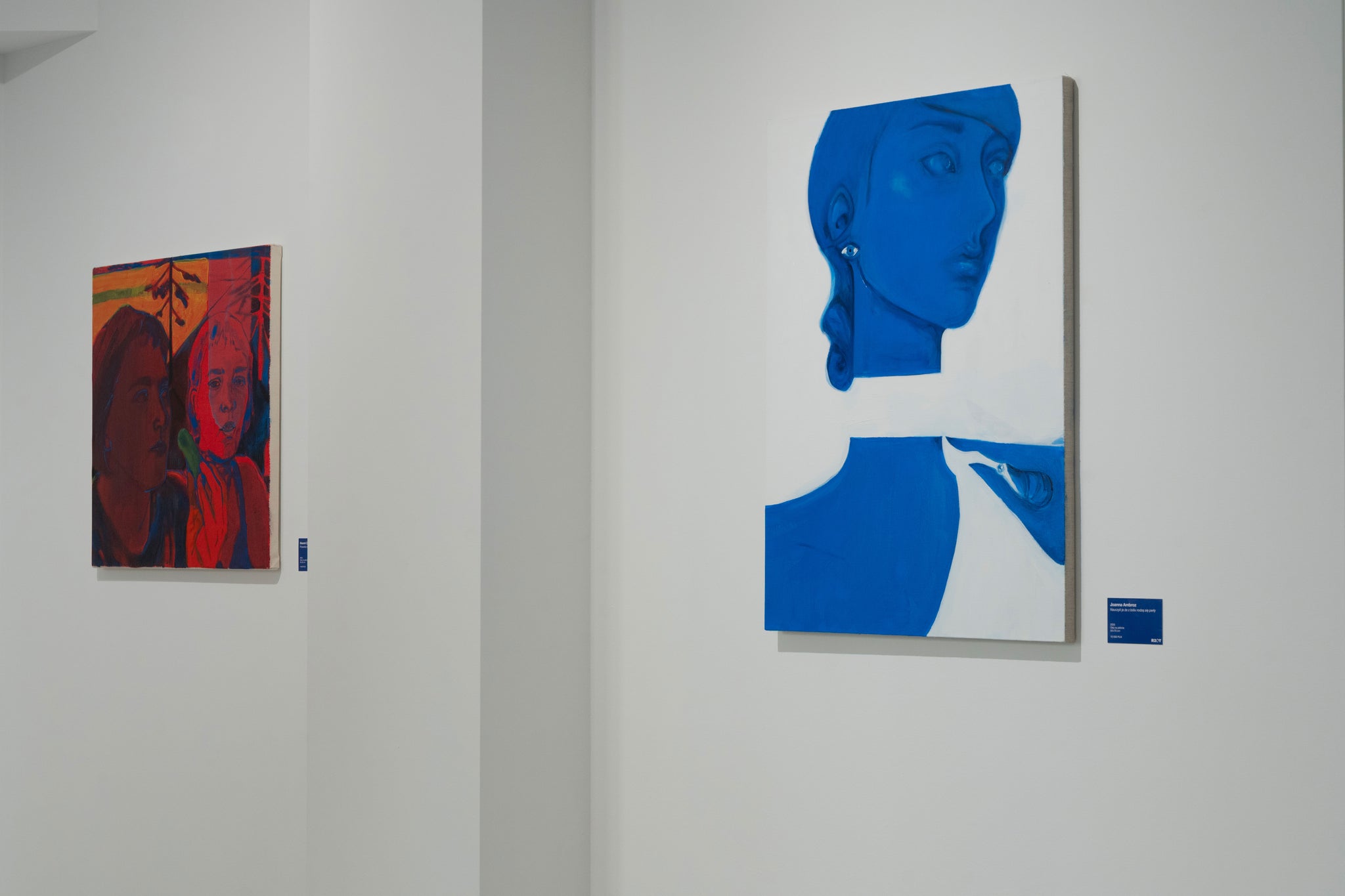 JOANNA AMBROZ – 