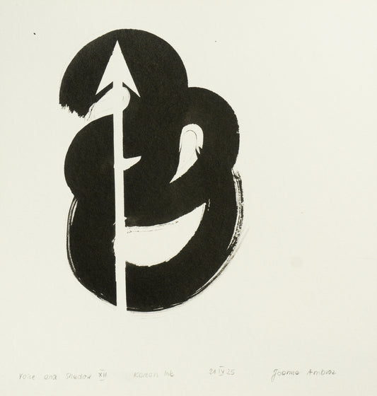 JOANNA AMBROZ – "Voice and shadow XII"